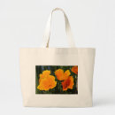 Suche nach mohnblumen leinwand Flora