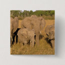 Suche nach afrikanischer elefant buttons Baby