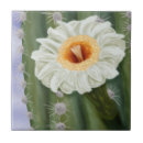 Suche nach illustrierte fliesen Blume