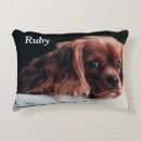 Recherche de cavalier king charles spaniel coussins Animal