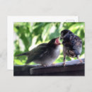 Recherche de nourrisson cartes postales Pour eux