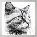 Suche nach tierbilder poster Katze