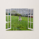 Recherche de fox puzzles Animal