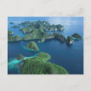 Recherche de papouasie cartes postales Personne