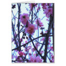 Recherche de arbre ornemental cartes postales Fleurs