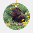 Suche nach schokoladen labrador ornamente Haustiere