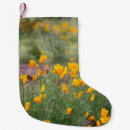 Recherche de fleurs sauvages chaussette de noël Cactus