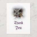 Suche nach ernsthaft karten Niedlich