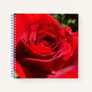 Suche nach rote rose notizbuch Sommer