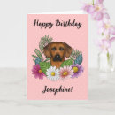 Suche nach ridgebacks karten Hund