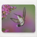 Suche nach bewegung mousepads Farbenfroh