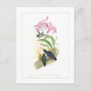 Suche nach kolibri postkarten Aquarell