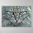 Recherche de chat gris posters Yeux