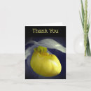 Recherche de orchidée jaune vœux cartes Fleur