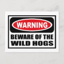 Recherche de porc sauvage cartes postales Animaux