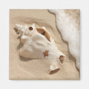 Suche nach karibische insel magnete Strand