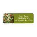 Suche nach aves Kolibris