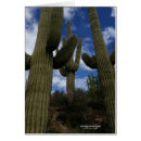 Suche nach phoenix arizona karten Kakteen