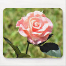 Suche nach perfekt mousepads Blume