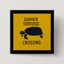 Recherche de tortues badges Photographie