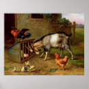 Suche nach vintage farm animal poster Barn
