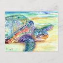Recherche de tortue de mer verte cartes postales Hawaii