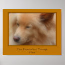 Recherche de race chien posters Dog