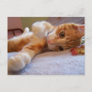 Suche nach cole postkarten Niedlich