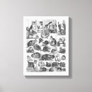 Recherche de félin impressions sur toile Amoureux des chats