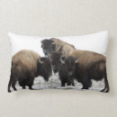Suche nach bison kissen Baby