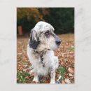 Recherche de disquette cartes invitations Oreilles de disquette