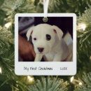 Recherche de pour animaux ornements Chiot