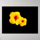 Suche nach flora poster Exotisch