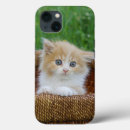 Recherche de chat bébé iphone coques Animal de compagnie