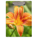 Recherche de fleurs porte blocs Photographie
