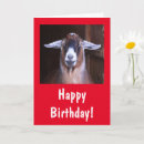 Recherche de billy anniversaire cartes Animal