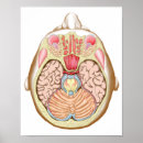 Recherche de sensoriel art Illustration