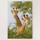 Suche nach giraffe puzzle Wildlife