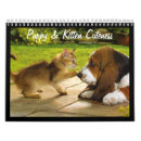 Suche nach kätzchen ich kalender Katze