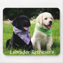 Recherche de canine électronique Race