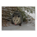 Suche nach beuteltier postkarten Opossum