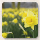 Suche nach gartenbau untersetzer Flora
