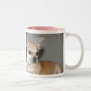 Recherche de domestiqué maison deco Dog