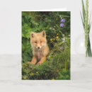 Suche nach cute fox karten Animal