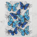 Recherche de papillon prospectus Blanc