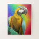 Recherche de de perroquet puzzles Toute personne