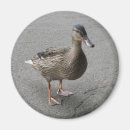 Suche nach lustige ente magnete Vögel