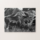 Recherche de moose puzzles Alaska