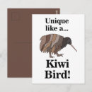 Suche nach kiwis poster Natur