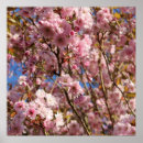 Suche nach kirsche kunst Blumenreich
